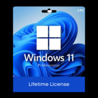 Windows Licence
